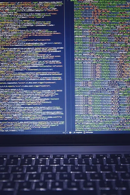 Custom API code on screen for a bespoke software build